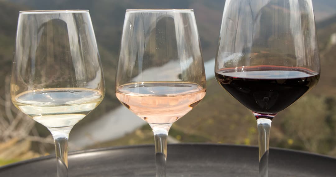 Wine Tasting Adventure at Century-Old Estate in Douro