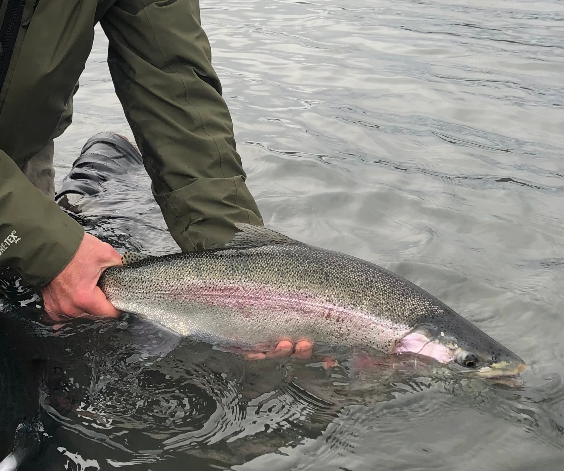 Kenai Methods Guide Service fleet