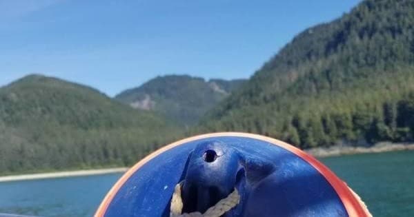 Private Group Camping at Eklutna Lake Canyon — Reserve Group Camping Near Anchorage photo 1