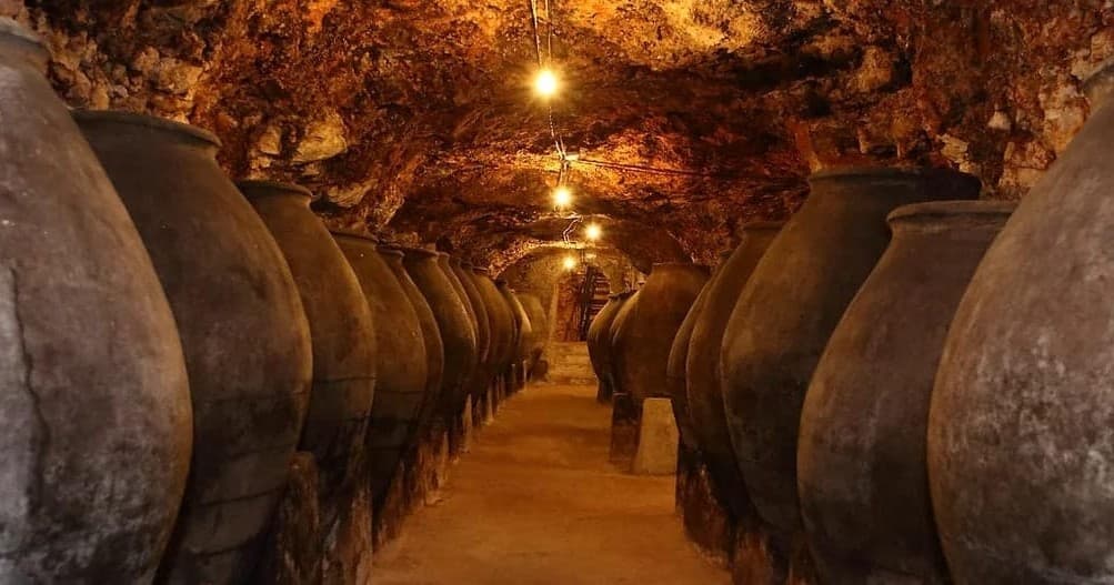Wine & Heritage in Madrid with ARIMUNDI's Historic Wineries Tour