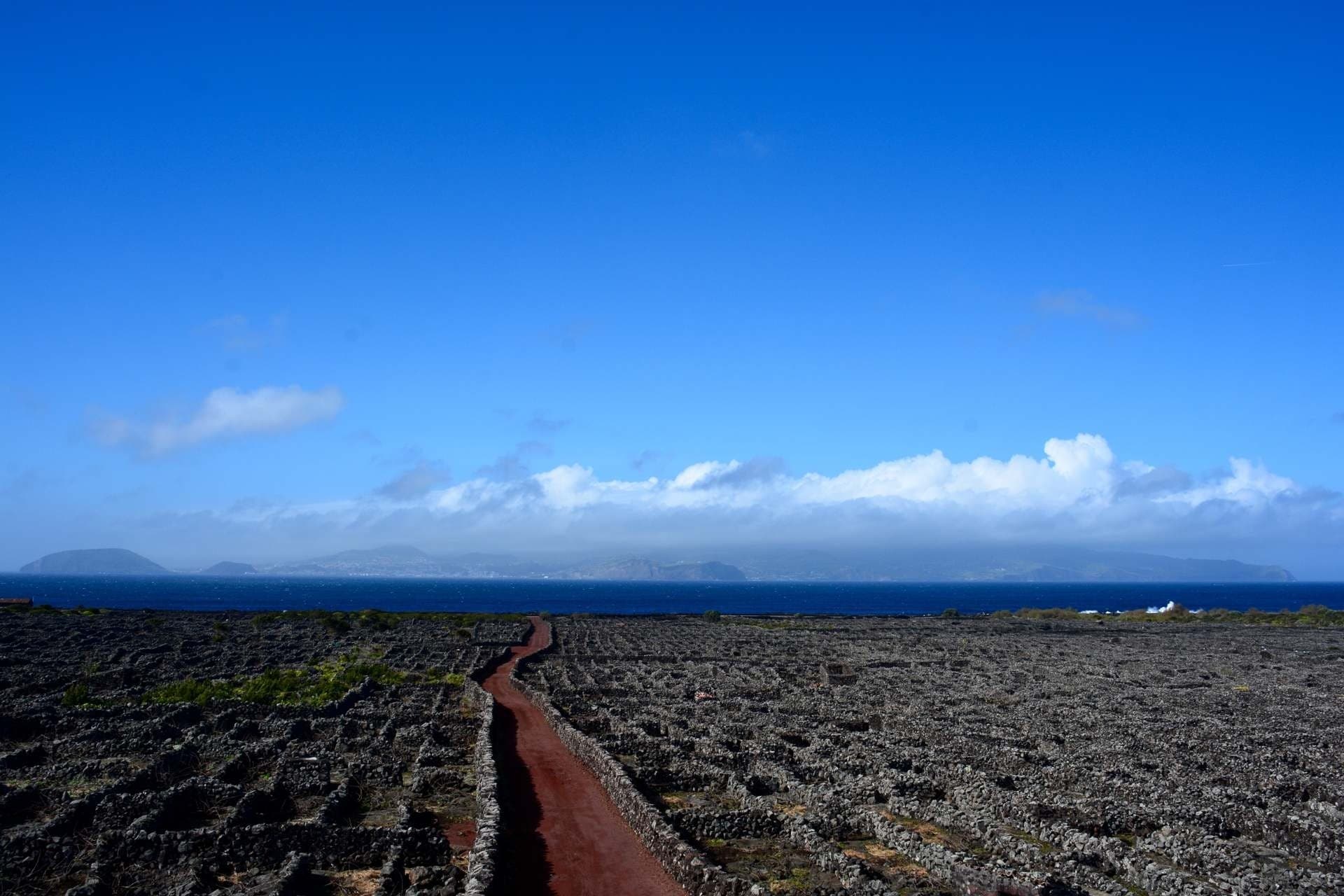 Taste Pico: Private Island & Wine Tour in Lajes do Pico, Azores