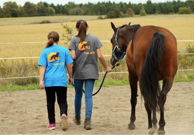Horseback Riding for Kids at Les Écuries du Pont d'Or in Saint-Fabien