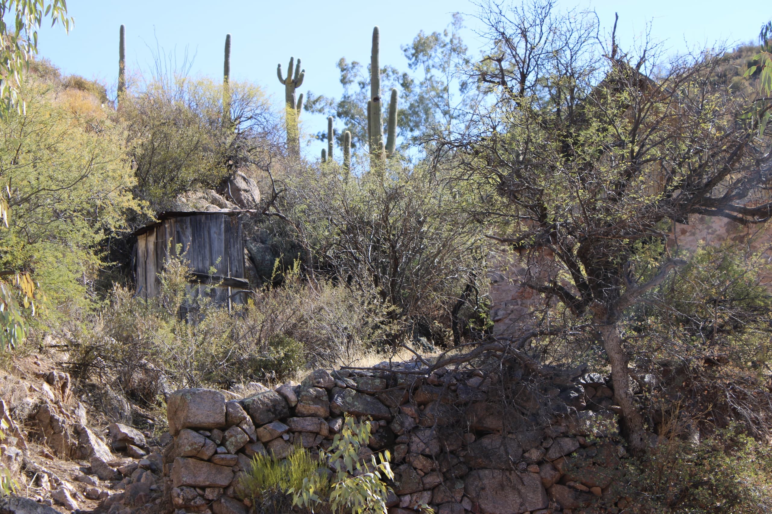 Half Day ATV Adventure in Wickenburg's Box Canyon