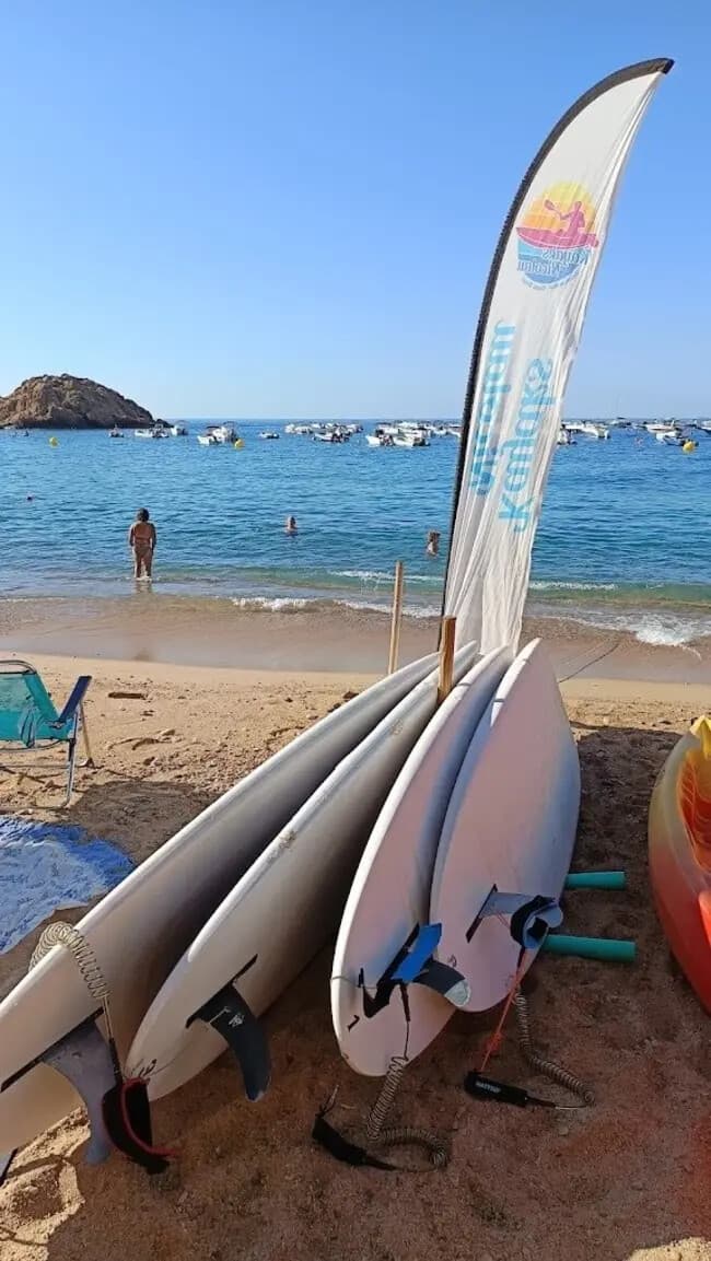 Paddle the Caves of Cala Giverola: Beginner SUP Rentals in Tossa de Mar photo 3