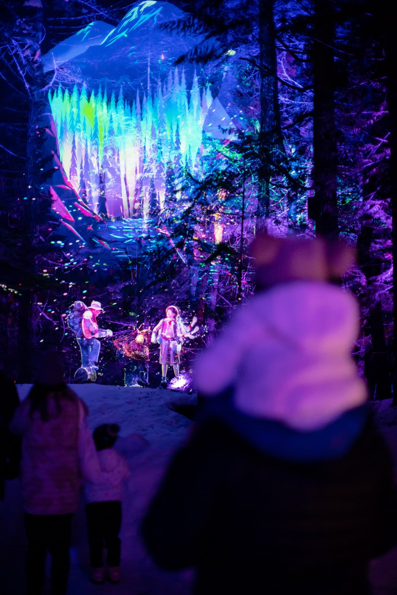Vallea Lumina Winter Edition at The Adventure Group Whistler