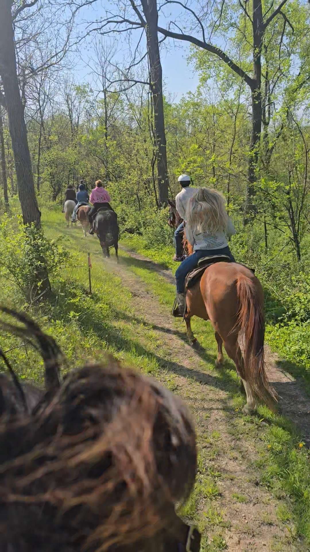 Intermediate Trail Ride Adventure in Galena, Illinois