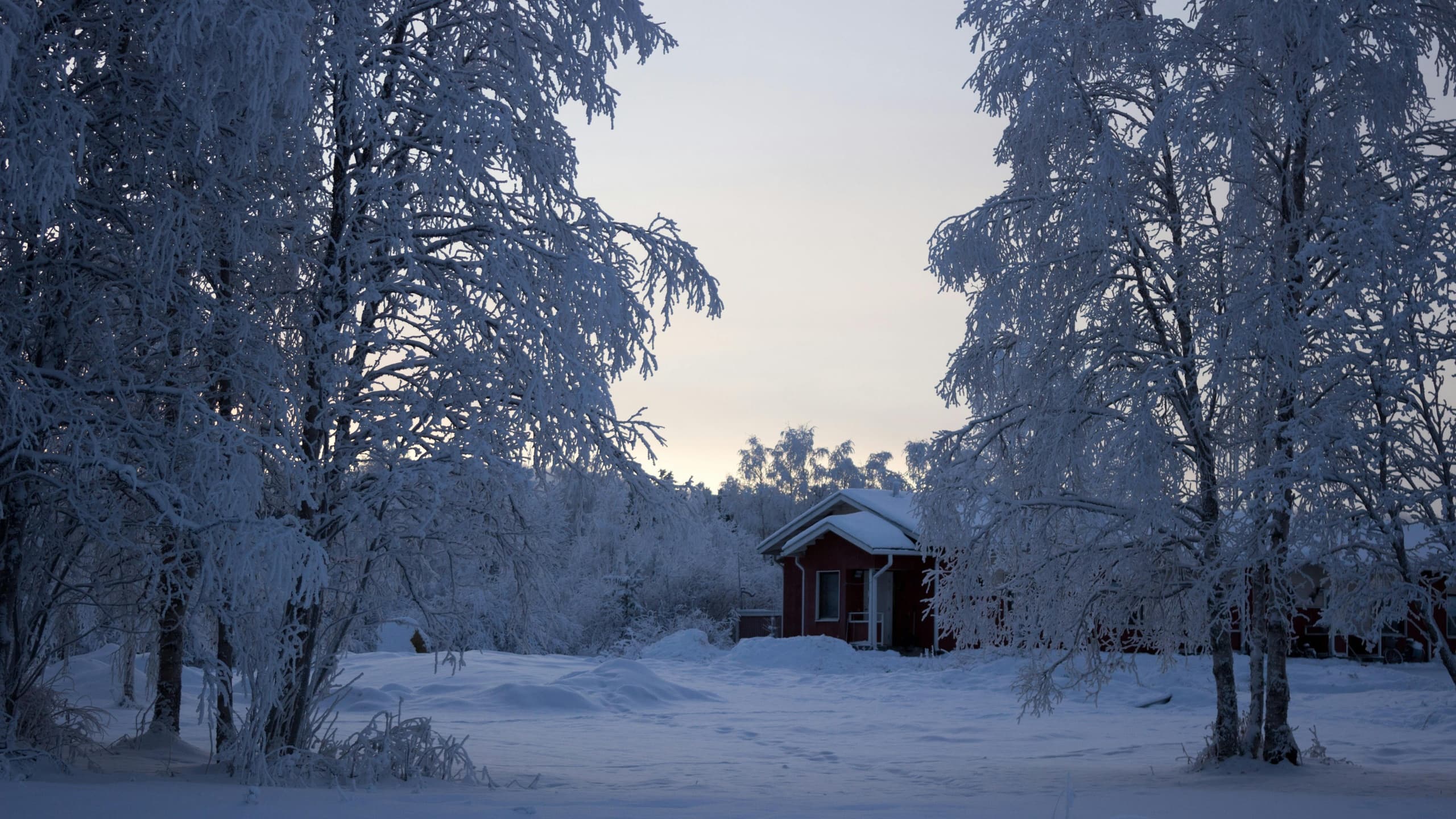 Arctic Evening Sled Ride by Aavasaksa Adventures in Lapland