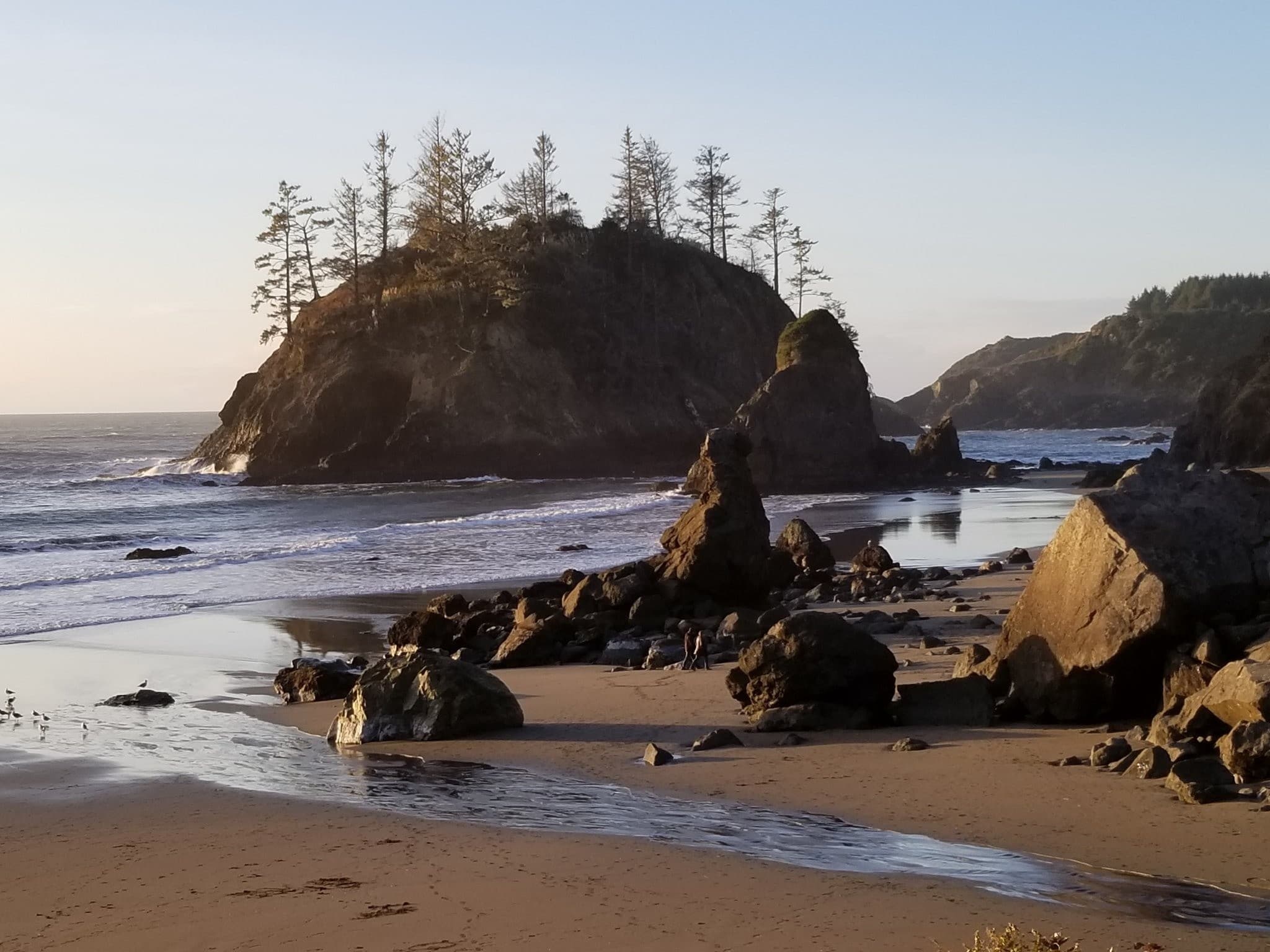 Canopy to Coast: Guided Redwood Coast Tour in Redwood National Park