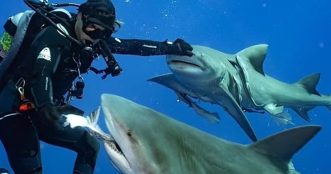 Scuba in North Palm Beach, Florida
