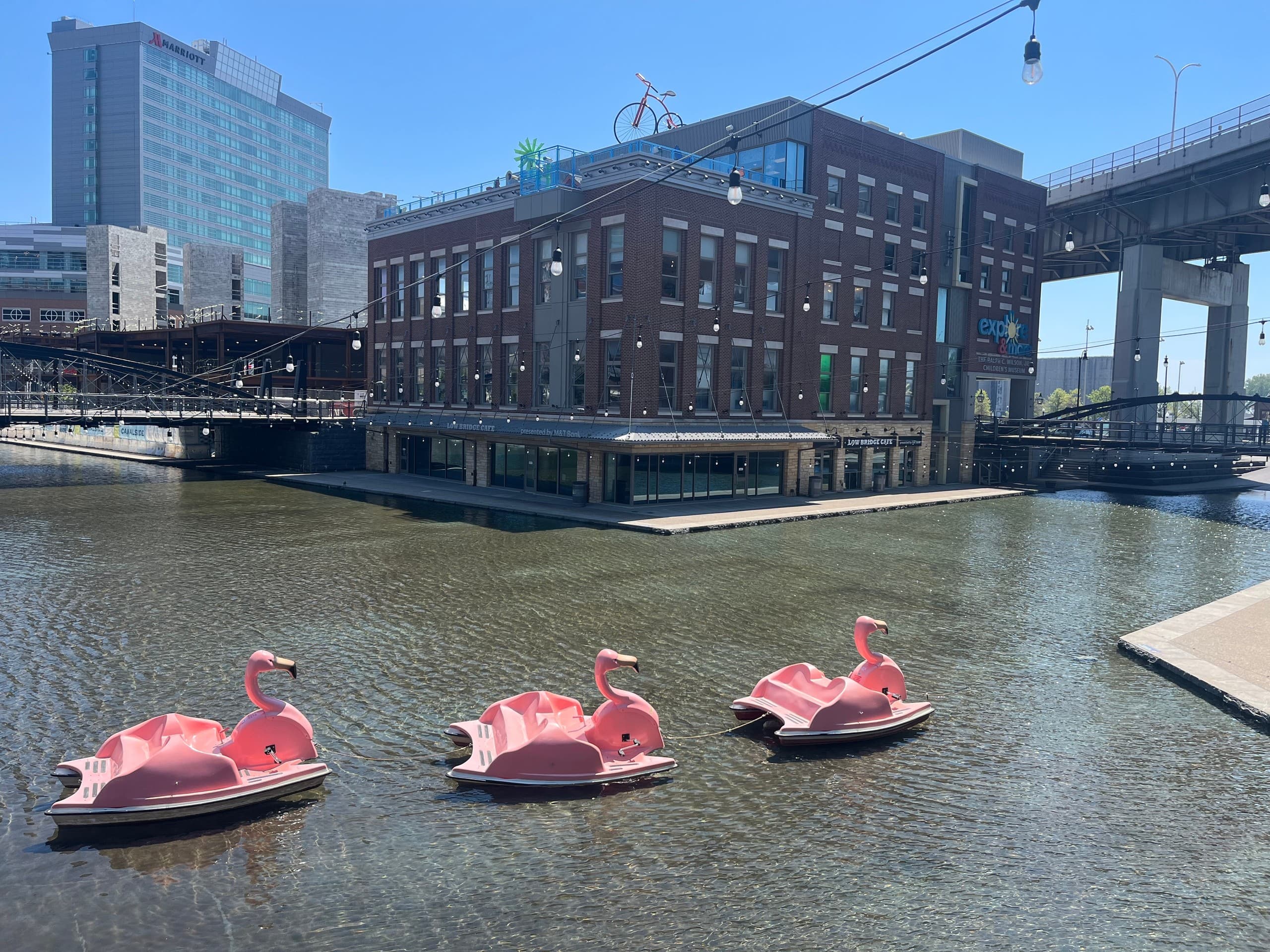 Float the Flamingo: 30-Min Paddle Boats at Canalside & Hoyt Lake, Buffalo photo 1