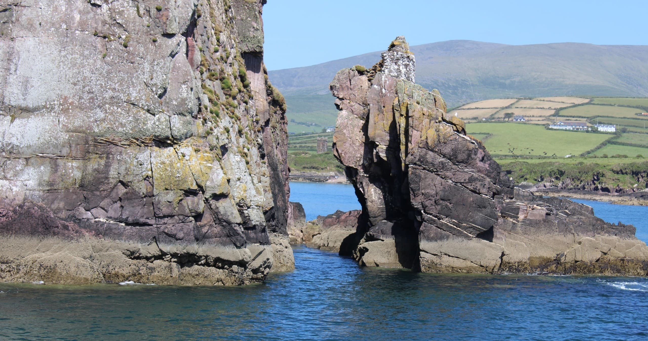 Water-Activities & Dingle Dolphin Boat Tours in Dingle Bay