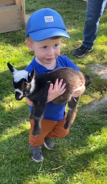 Martintown Farm Visit: Semi-Private Snouts & Snuggles with Mini Goats and Kune Kune Pigs photo 2