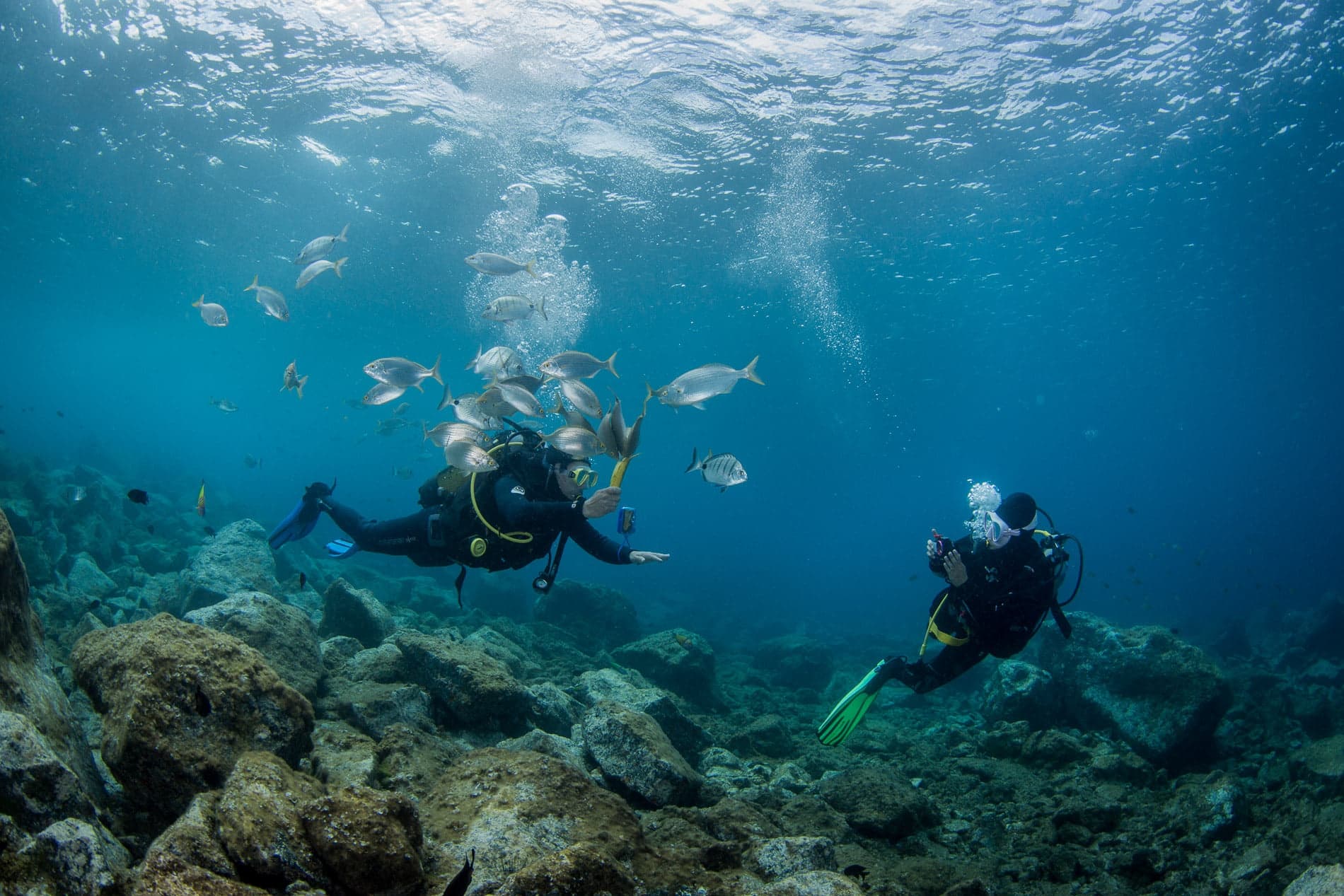 Discover Dive Certification with Bonito Diving Lanzarote in Playa Blanca