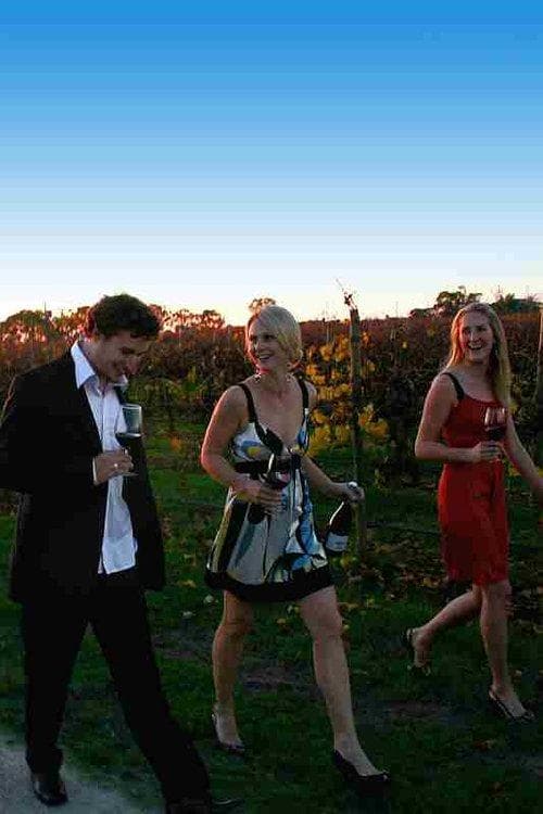 Group walking through Coonawarra vineyard at sunset, wine tour