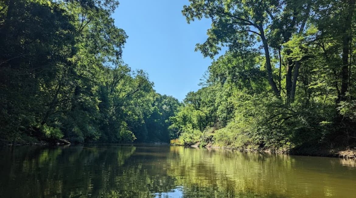 Scenic tree-lined river panorama ideal for canoeing trips