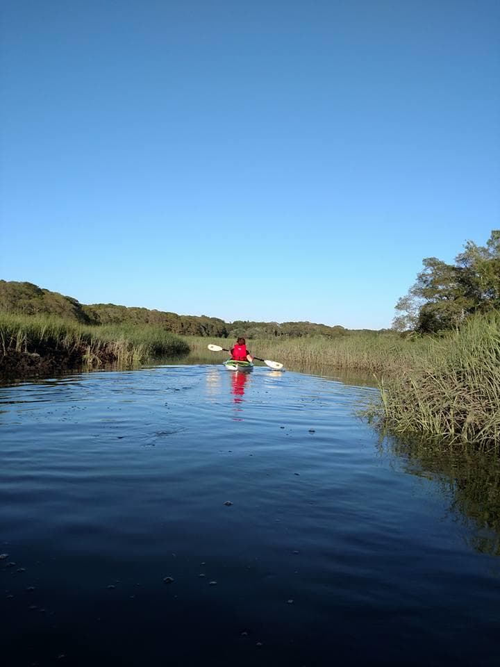 Eco Tour in Edgartown, Massachusetts