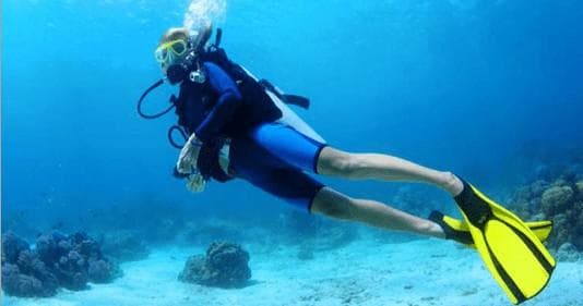 Water Activities & Taino Divers: Discover Local Reef Adventures