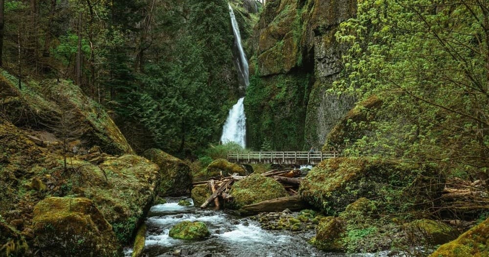 Hood River to Gorge Waterfalls Tour: Half-Day Waterfall and Herb Walk in the Columbia River Gorge