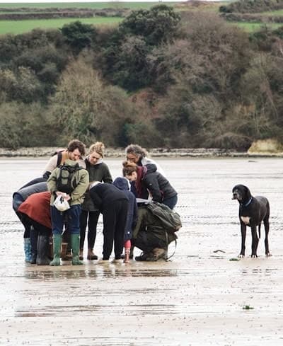 Coastal Foraging Adventures with Fore Adventure in Dorset