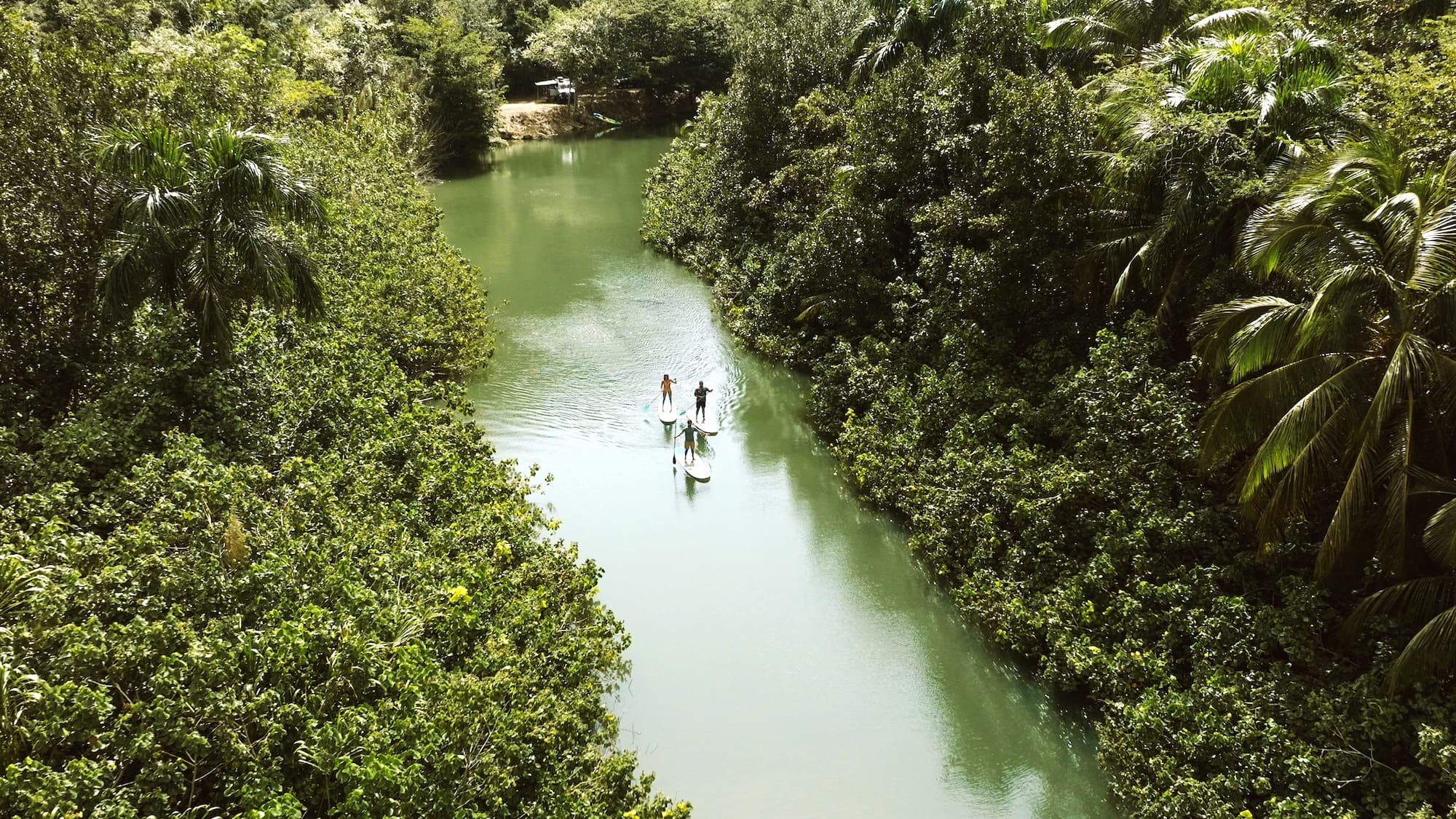 Paddlers kayaking narrow green river through jungle canopy