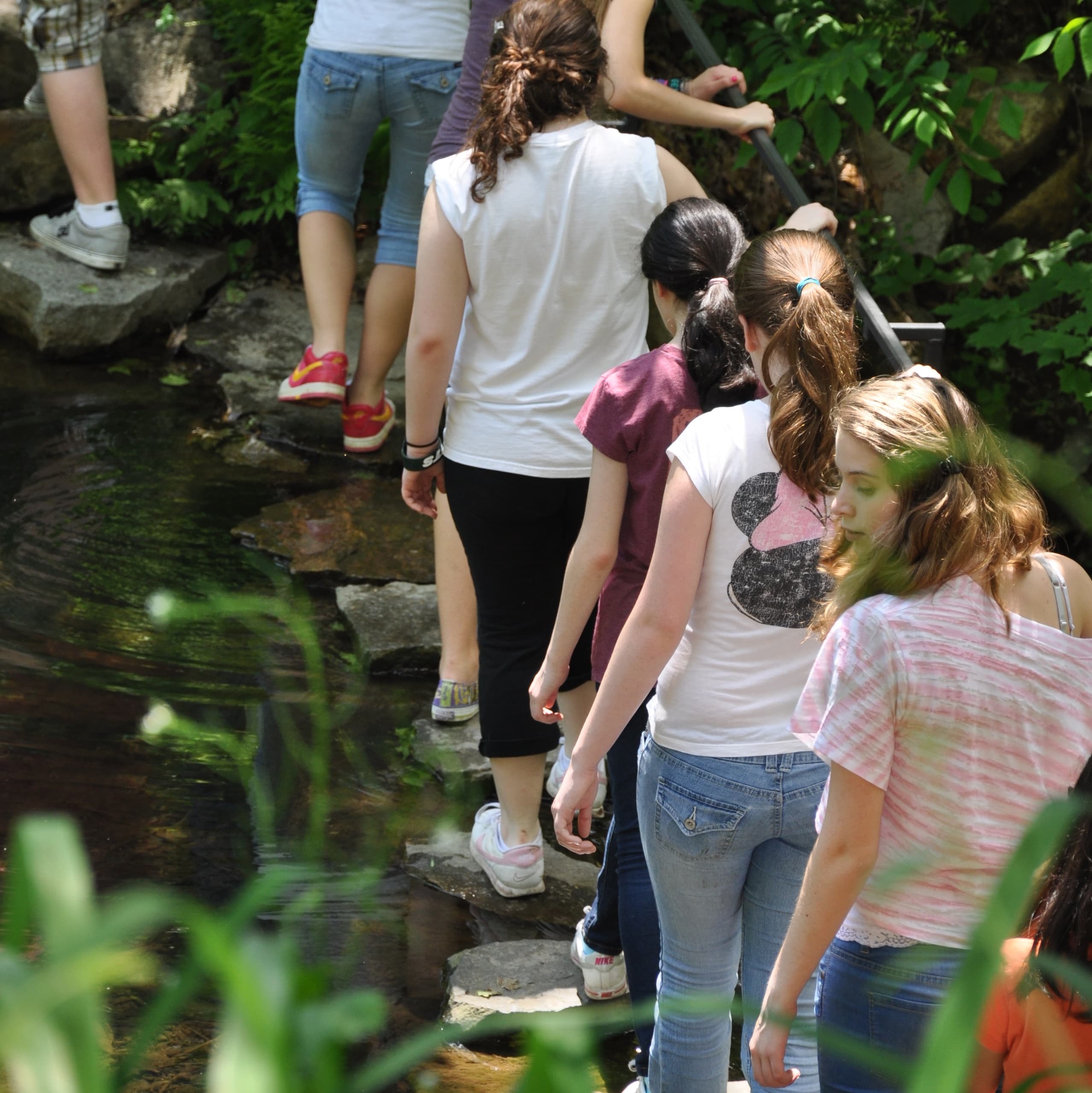 Hiking & Cultural Tour at Manitoga with Student Groups