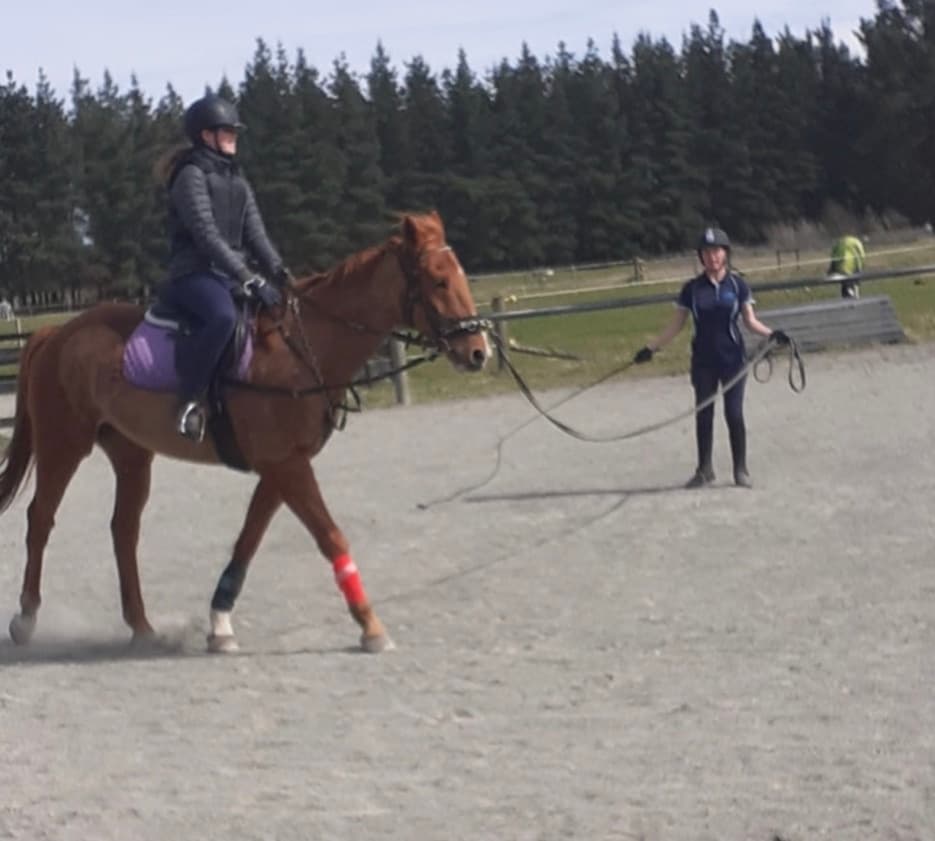 Beginner Horseback Lessons at Arion Riding Centre, Christchurch