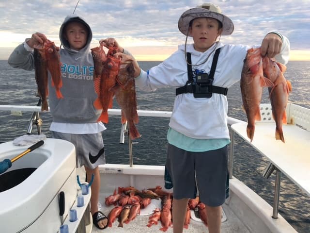Sea Fishing & Coastal Cruise with Coletta Sport Fishing
