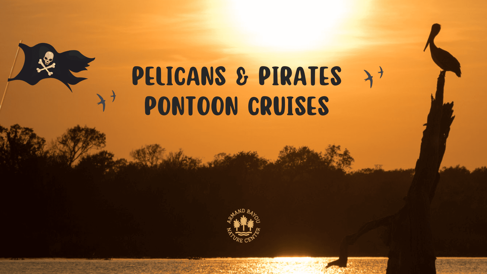 Pelicans & Pirates Pontoon Cruise in Pasadena, Texas