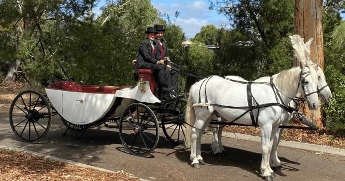 Land Adventure: Fleurieu Peninsula Carriage Ride by Carriage of Occasion
