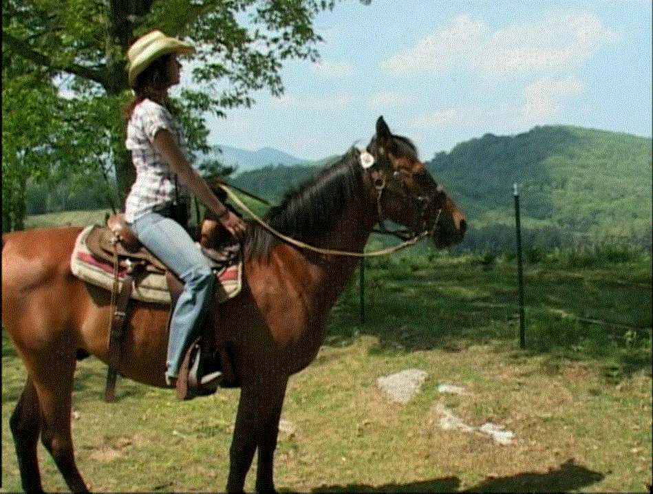 Cowgirl on horse overlooking grassy meadow and mountains
