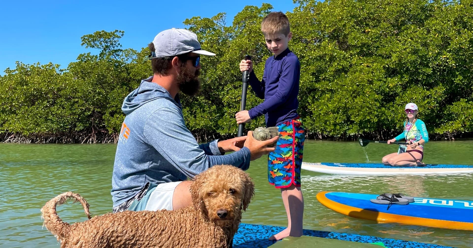 Family paddleboarding with dog near mangroves in calm inlet