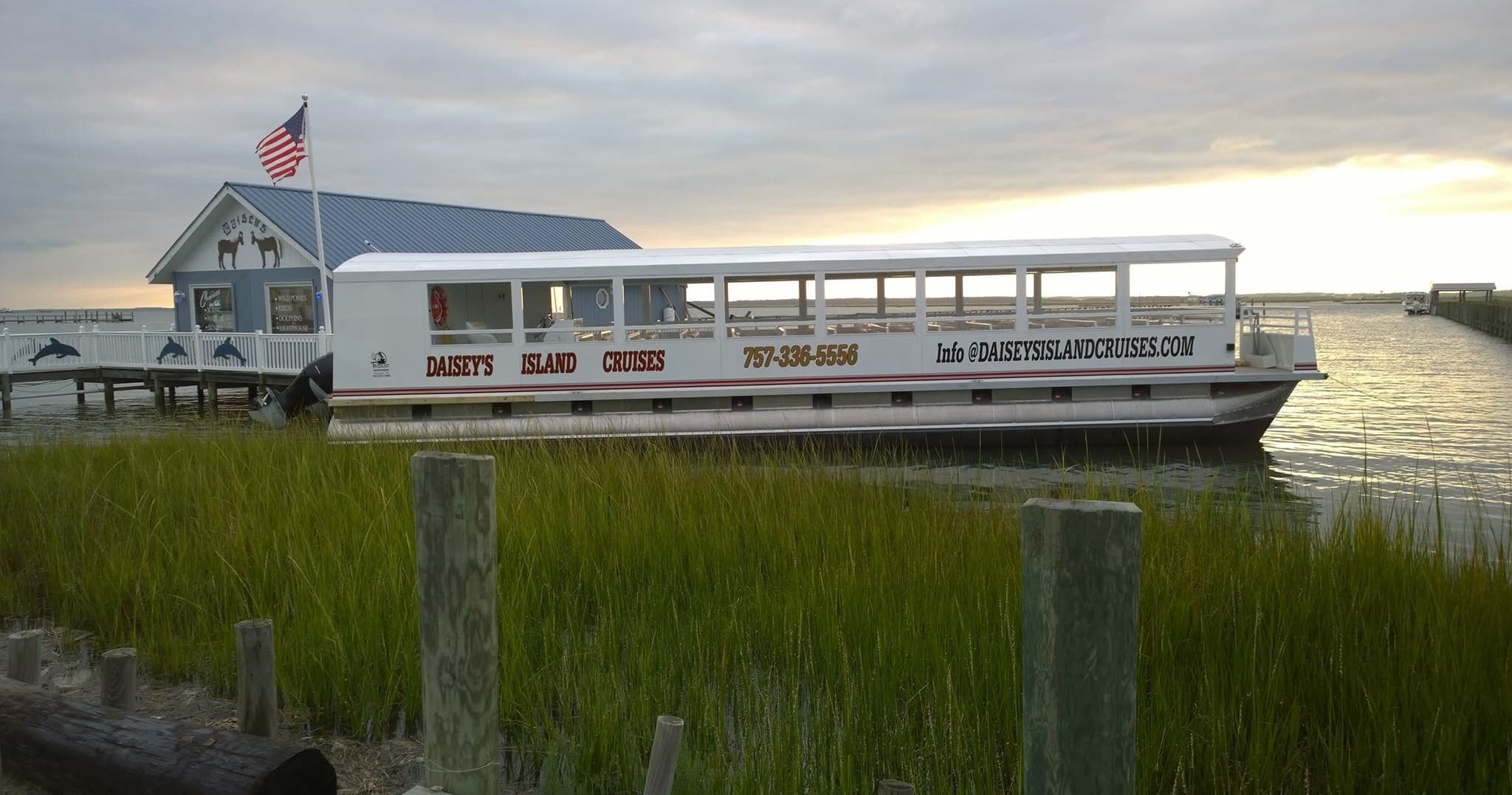 Wildlife Boat Cruise Adventure near Chincoteague VA