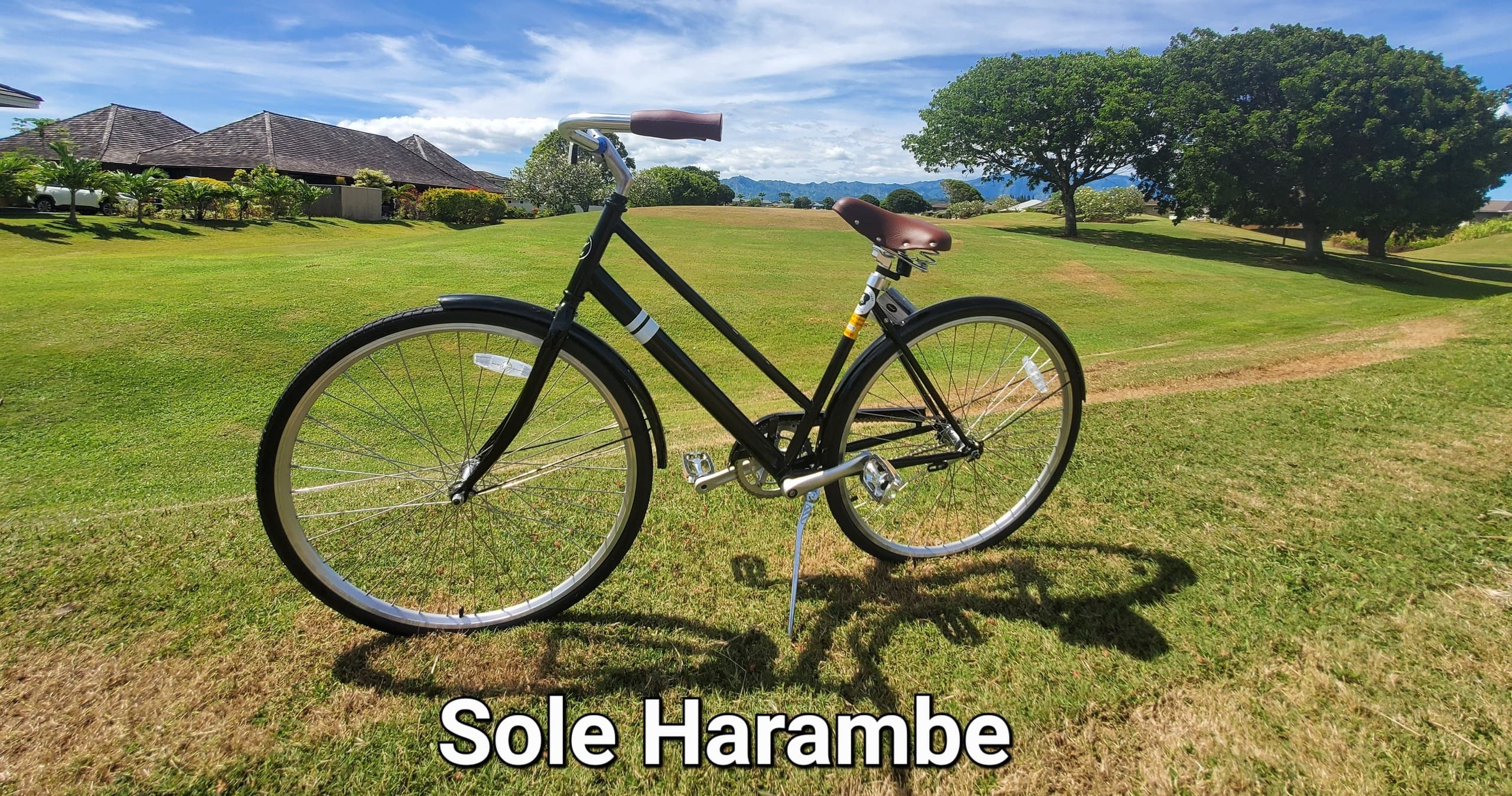All Day Single-Speed Bike Rides with Kauai Ebikes in Koloa