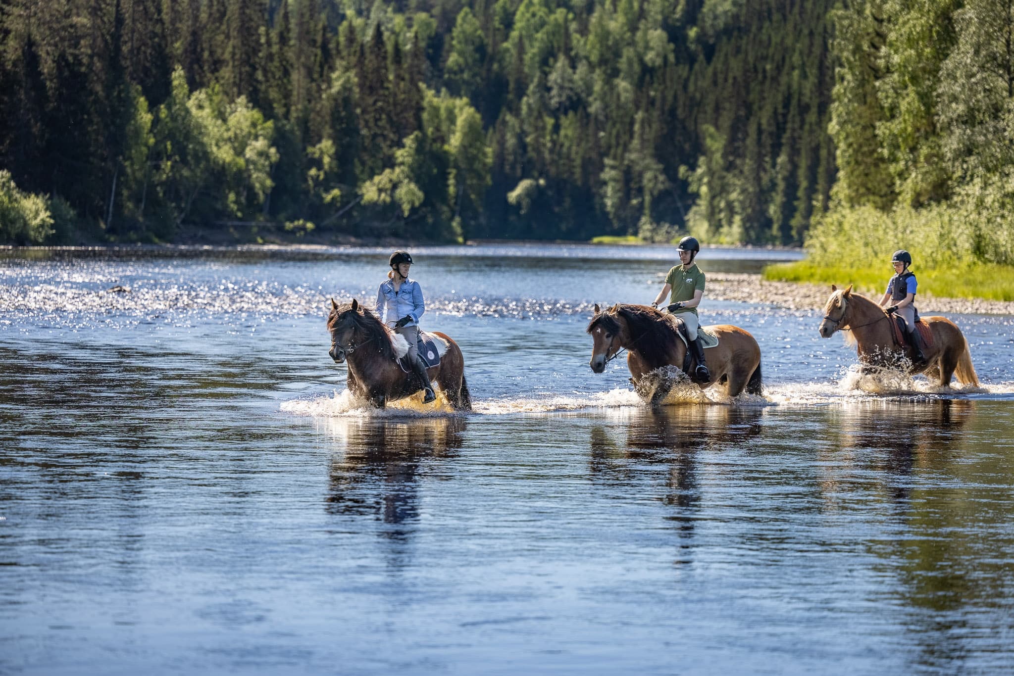 Horseback Adventure at Backfors Gård in Swedish Nature