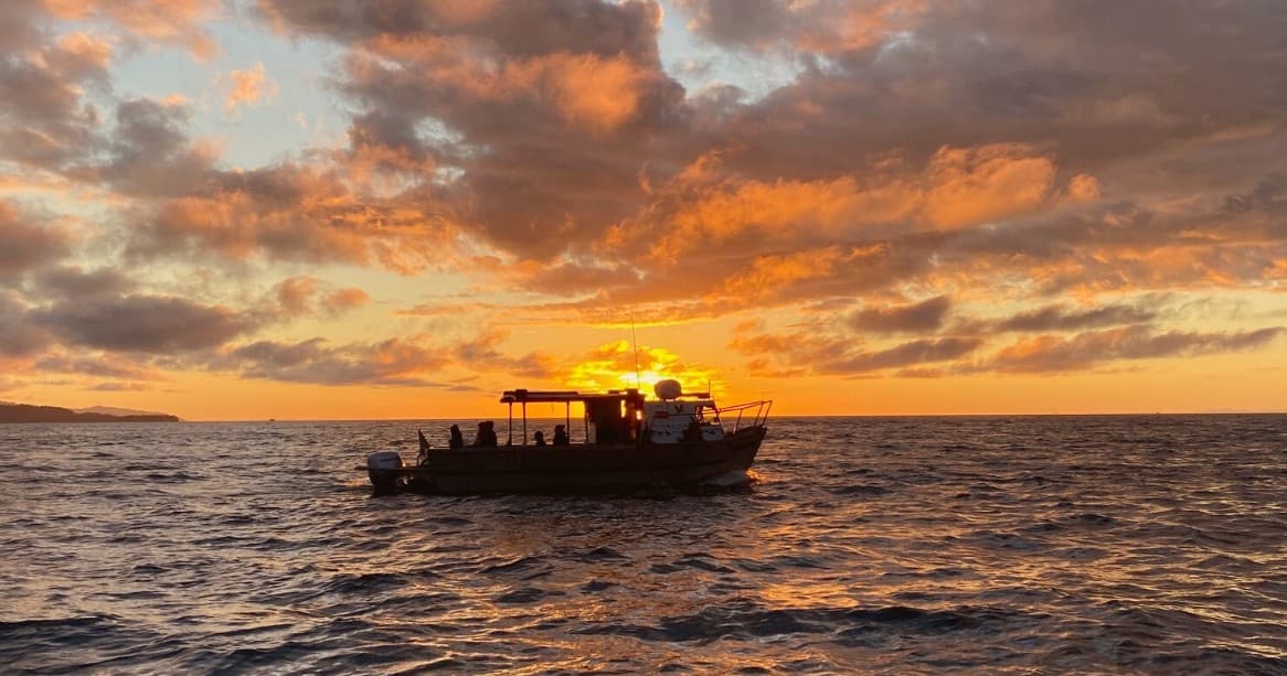 Seabird Ventures fleet