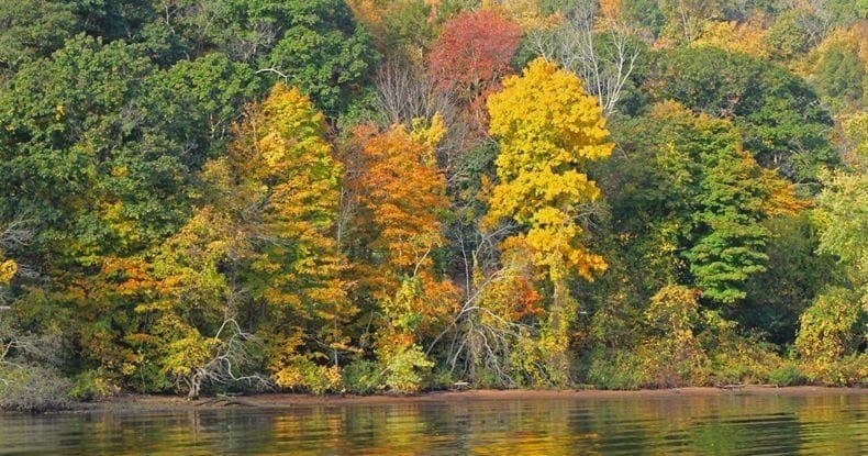 Autumn trees with colorful foliage reflecting on calm river