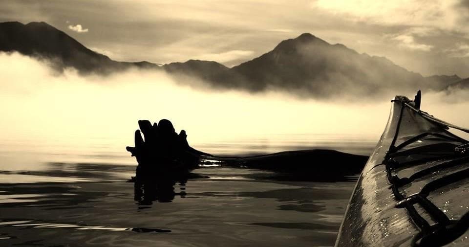Kayak Rentals at Lifetime Adventures Alaska in Chugiak