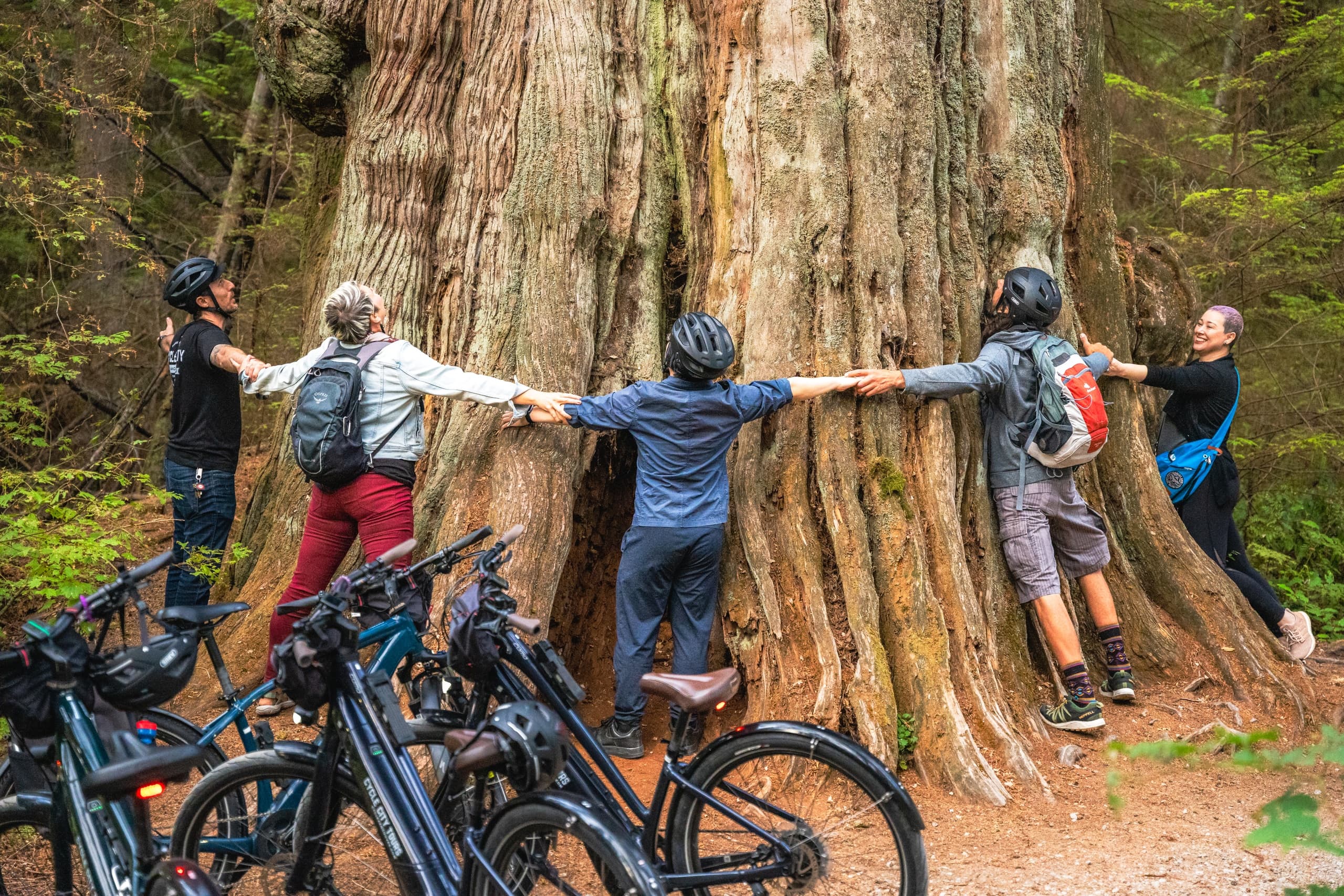 Cycle City Vancouver’s Rainforest & Coastal Adventures in Vancouver
