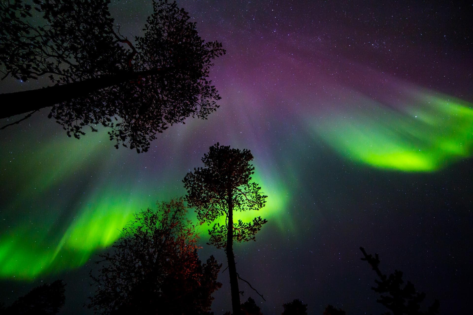 Autumn Aurora Hike with Northern Lights Village Pyhä