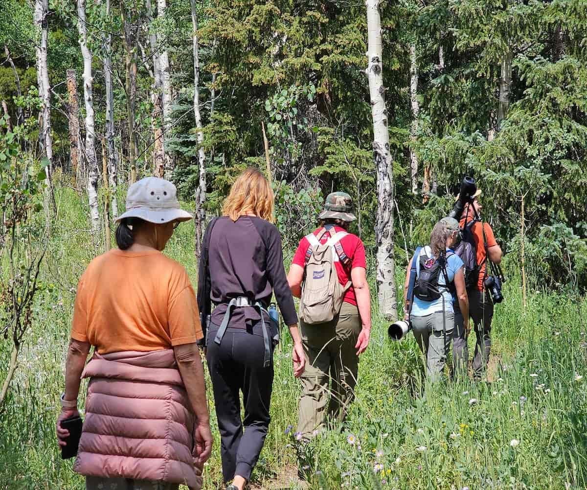 Denver Beginner Birding Class: 3-Hour Field Workshop to Master Binoculars and Local Birds
