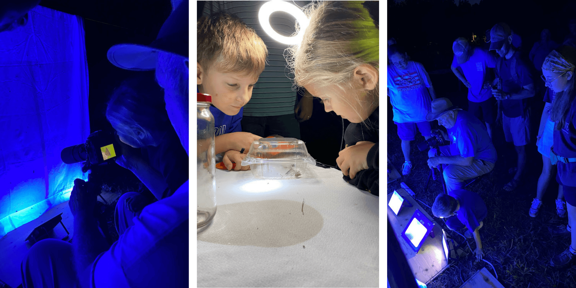 Buggin' Out: Nighttime Insect Adventure in Bowling Green