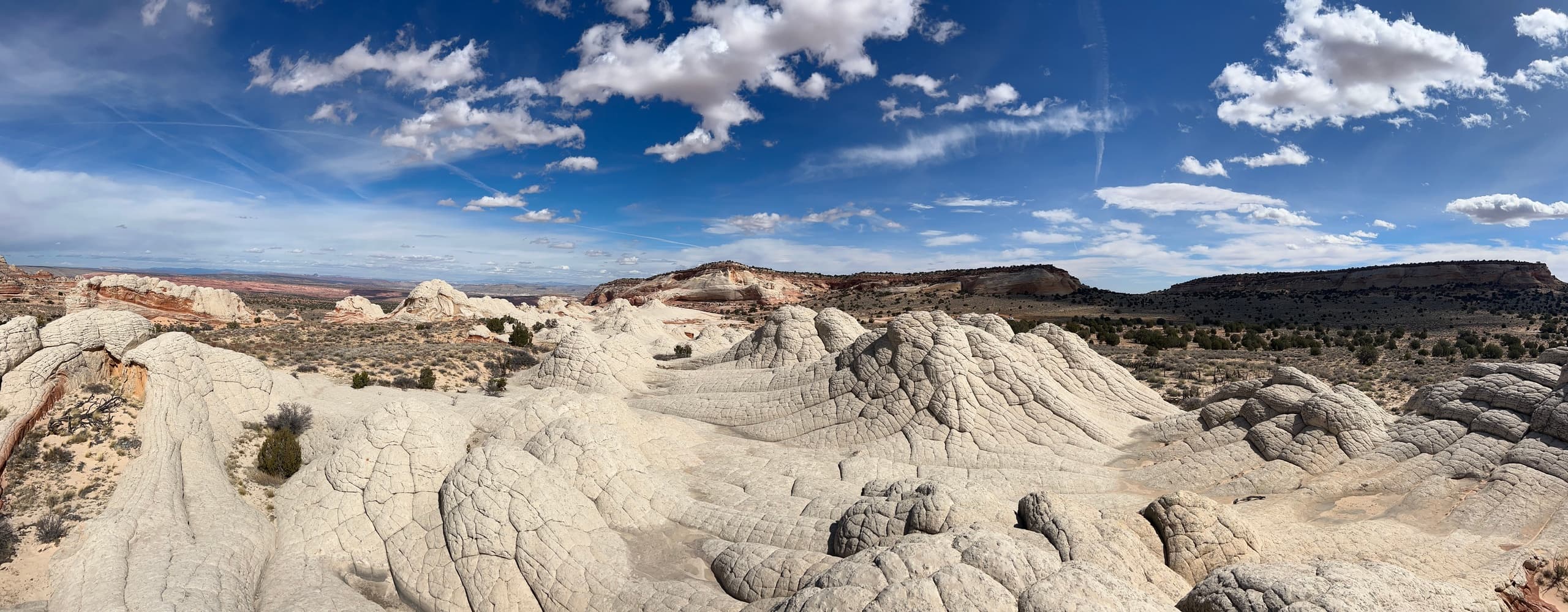 Explore White Pocket Full-Day Tour in Kanab, Utah