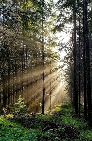 Land Adventures in Laragh with Tipi Adventures