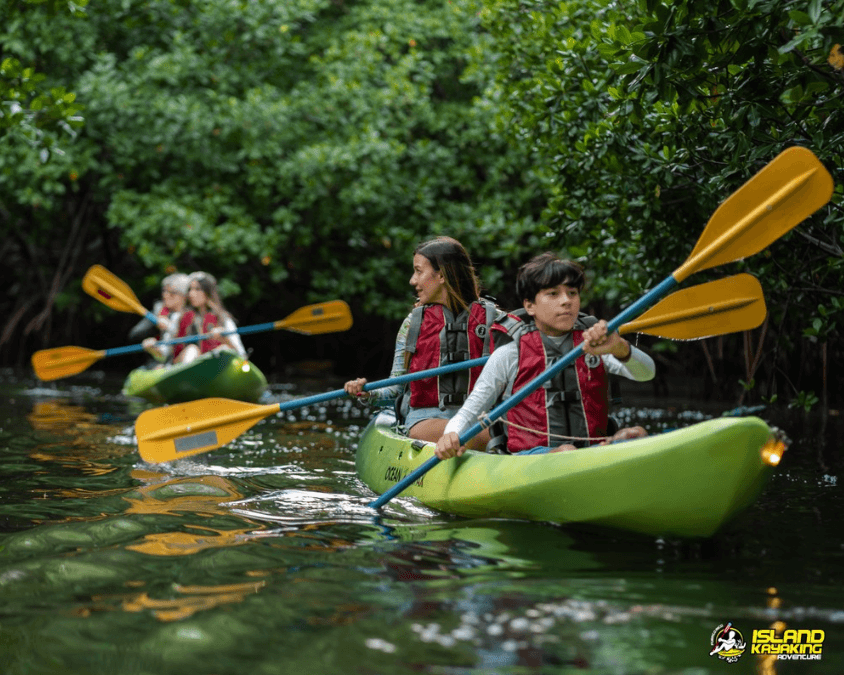 Join the Tour Waitlist for Kayaking in Fajardo, Puerto Rico