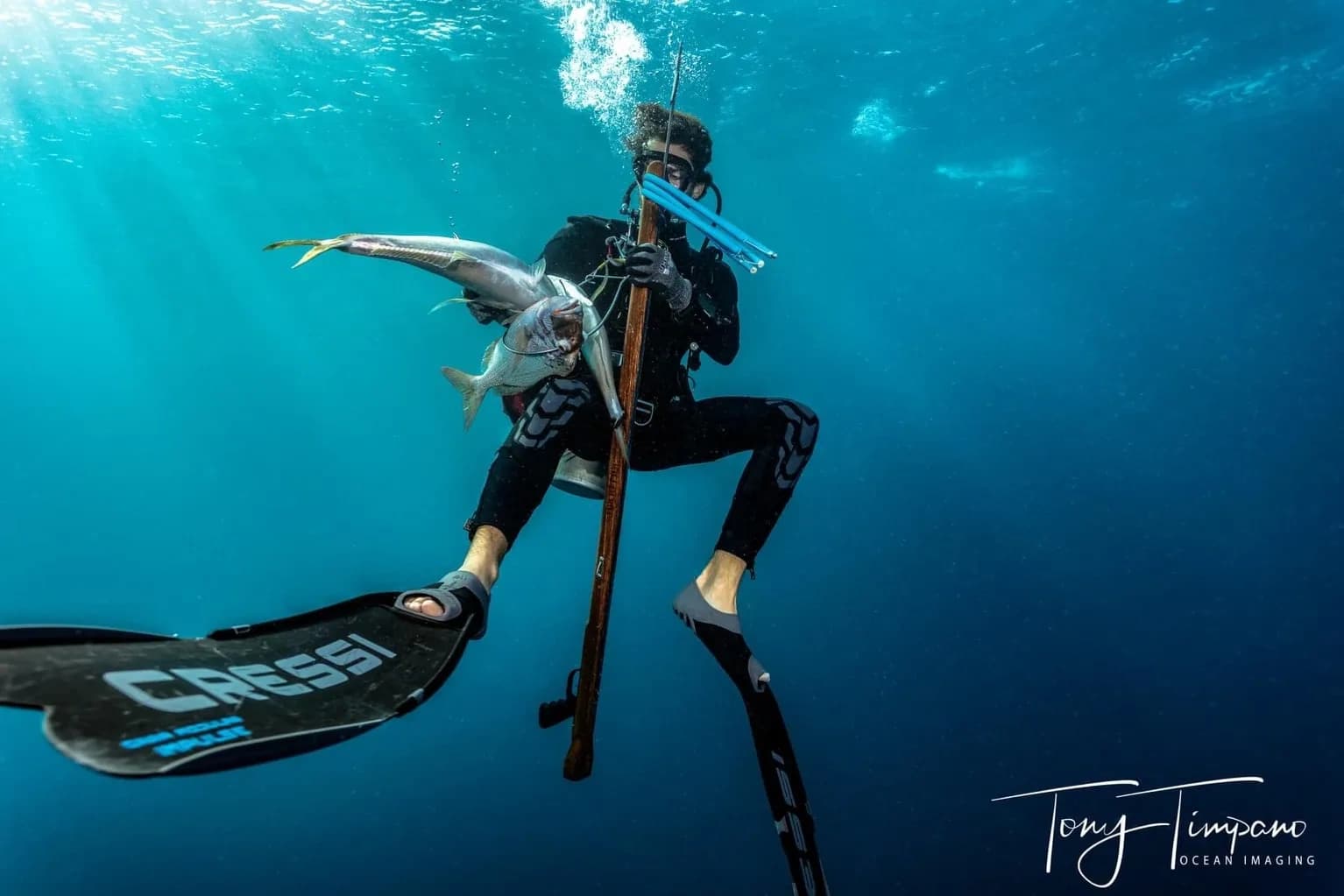 Sunset Sandbar Trip with Islamorada Spearfishing Adventures