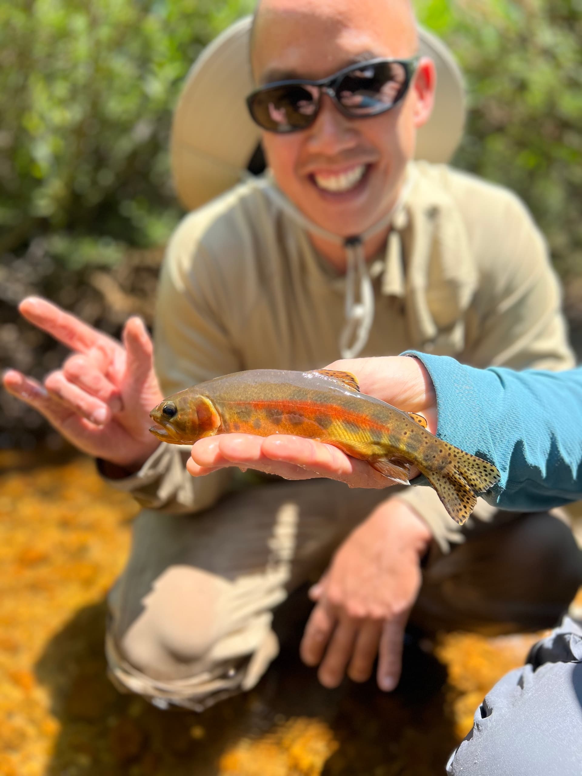 Seven Days Chasing Golden Trout in the High Sierra photo 1