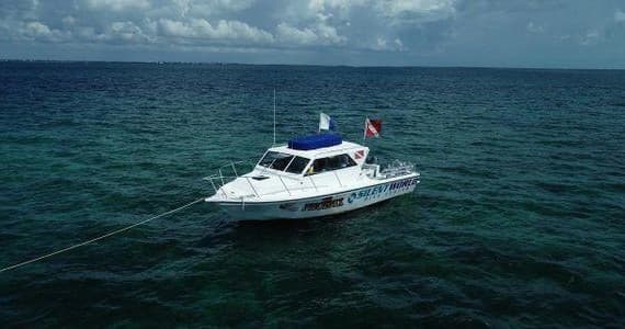Master Emergency Diving Skills with the PADI Rescue Diver Course in Key Largo