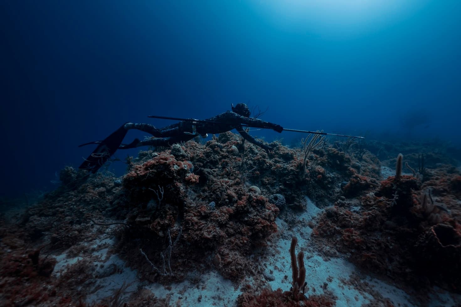 Spearfishing with Sunny Fishing Charters in Miami