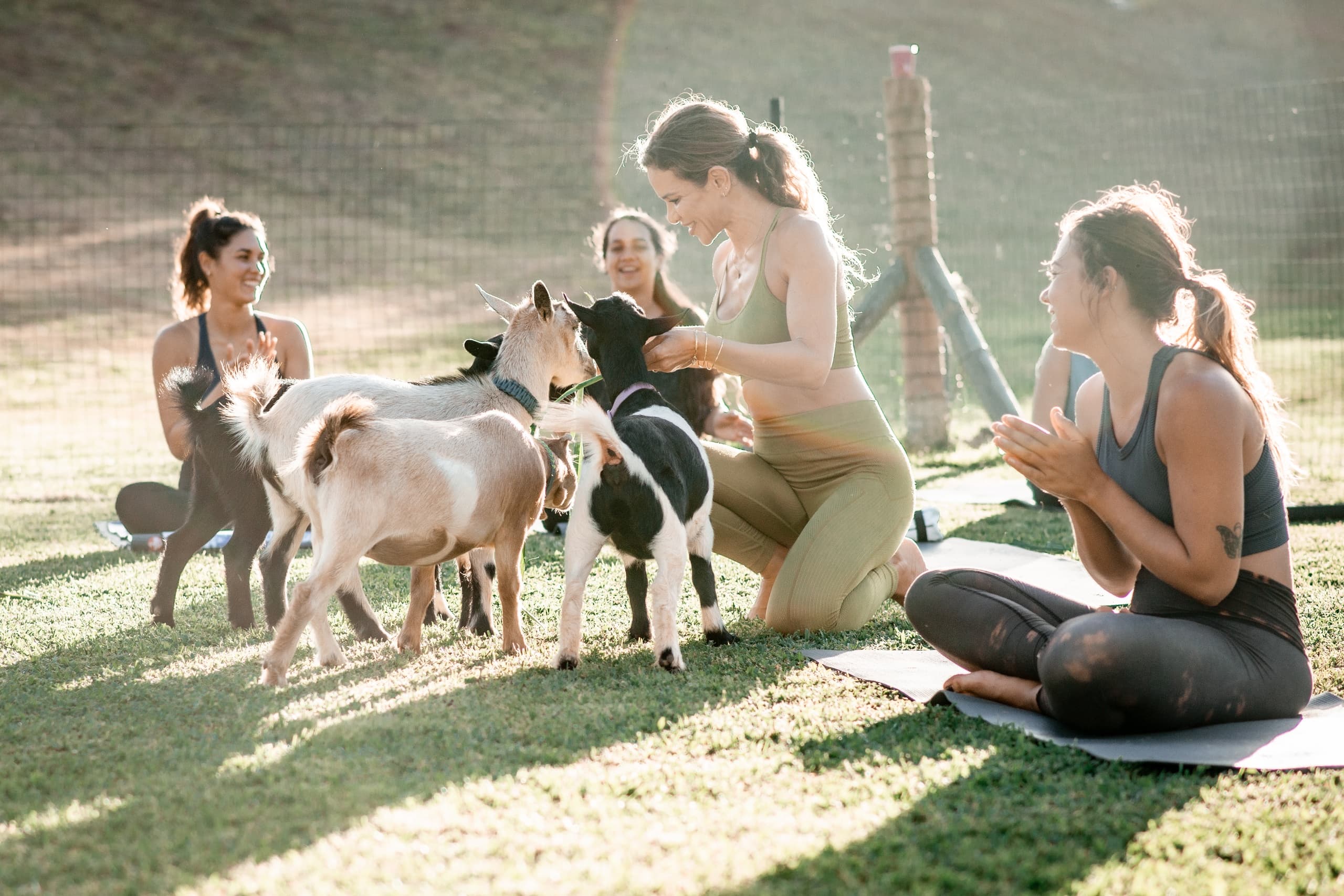 808 Goat Yoga Kauai fleet