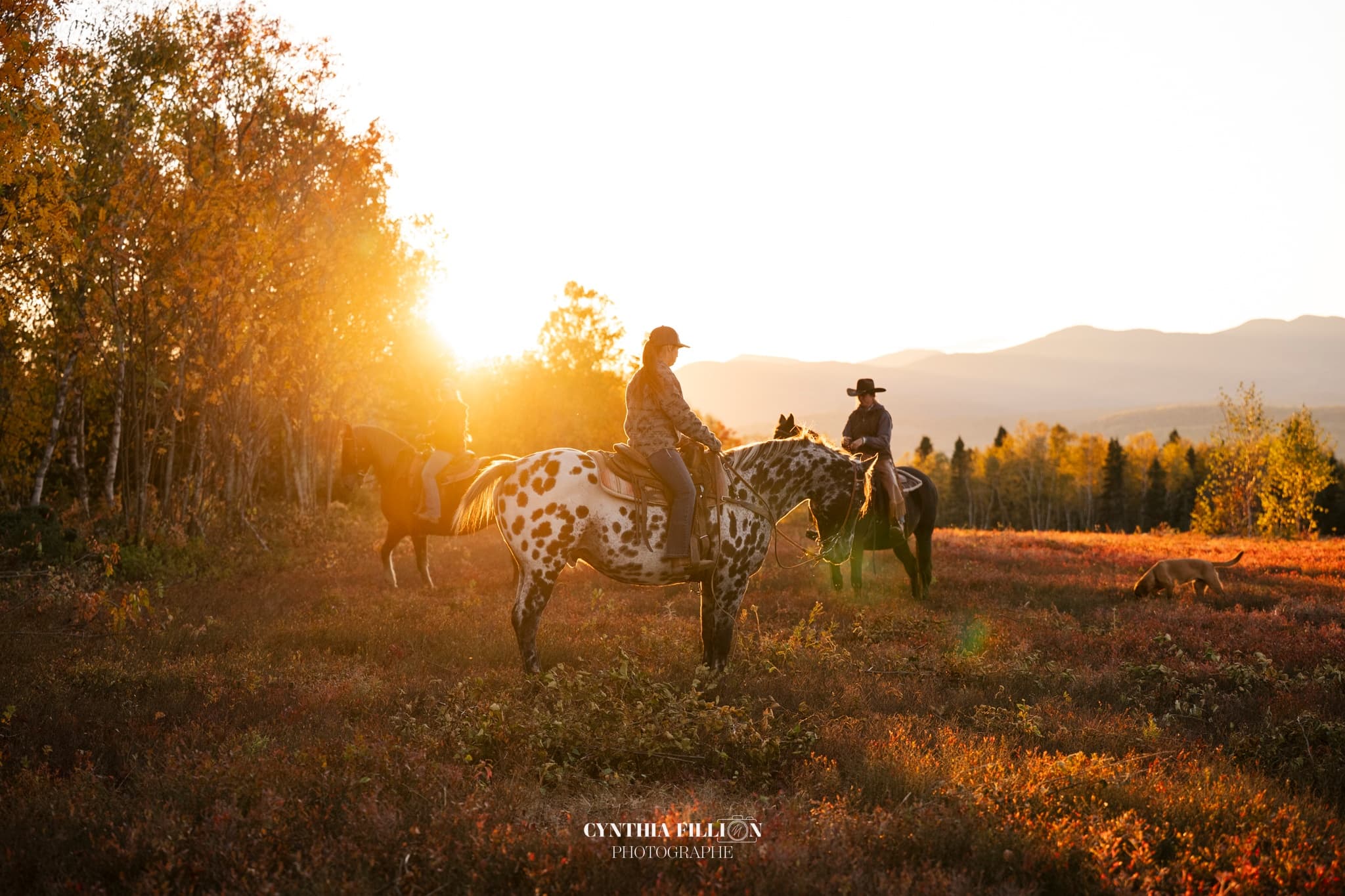 Sunset Saddle: Private Horseback Rides in Grands-Jardins near Baie-Saint-Paul